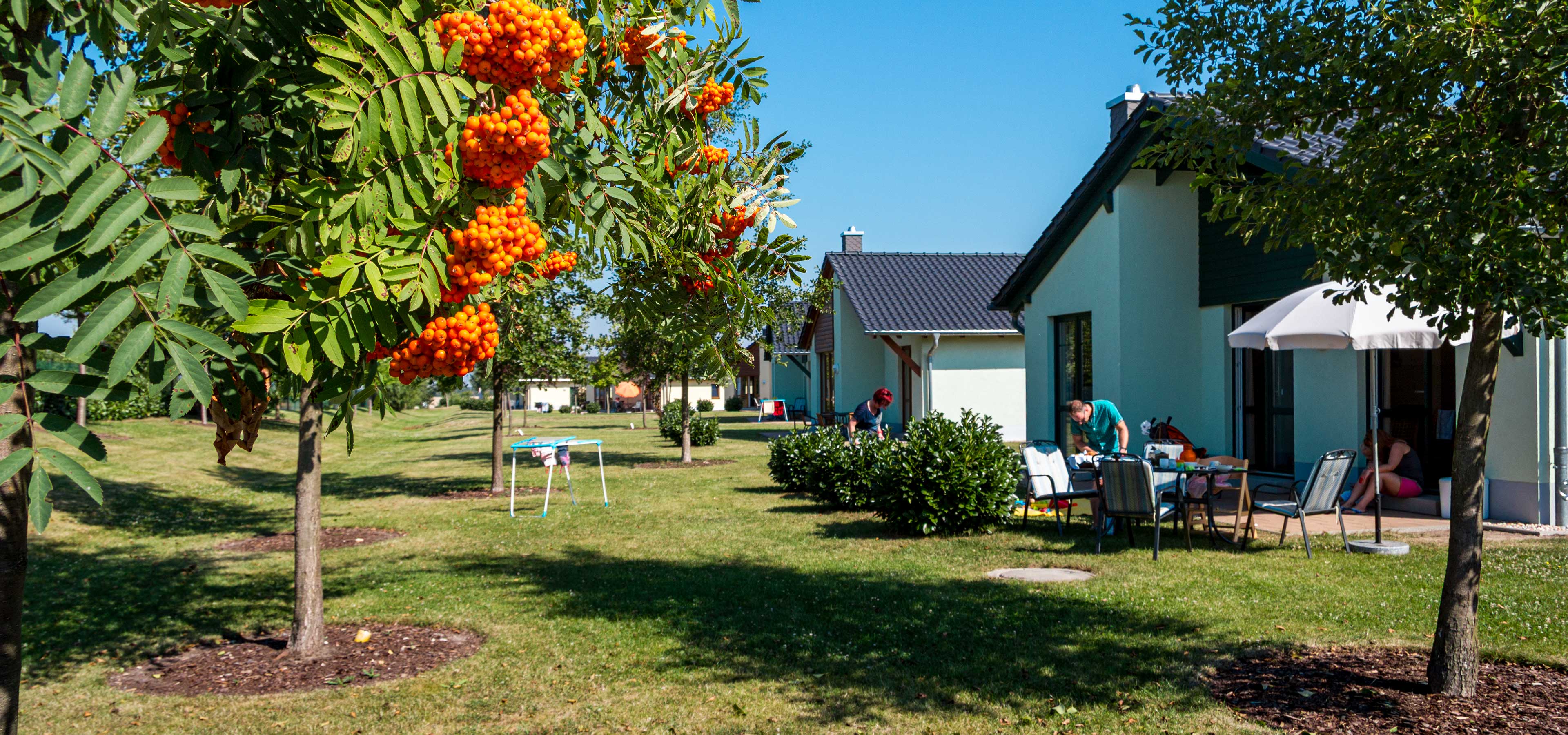 Seepark Auenhain